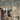 What makes Magari one of the best furniture brands in India | Magari